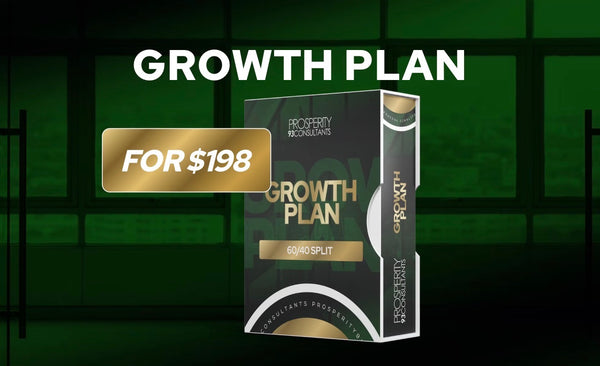 Partner Tier 2 Growth